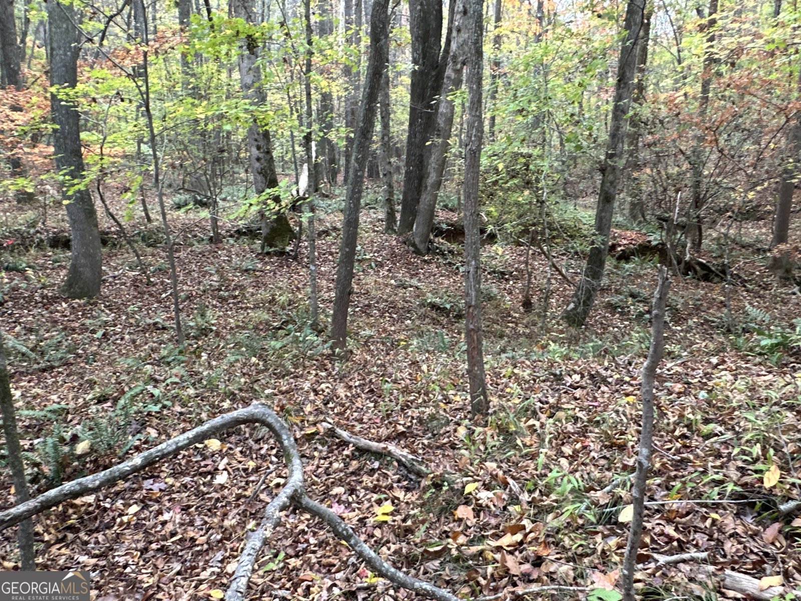1806 Browning Rd Rockmart - Photo 19