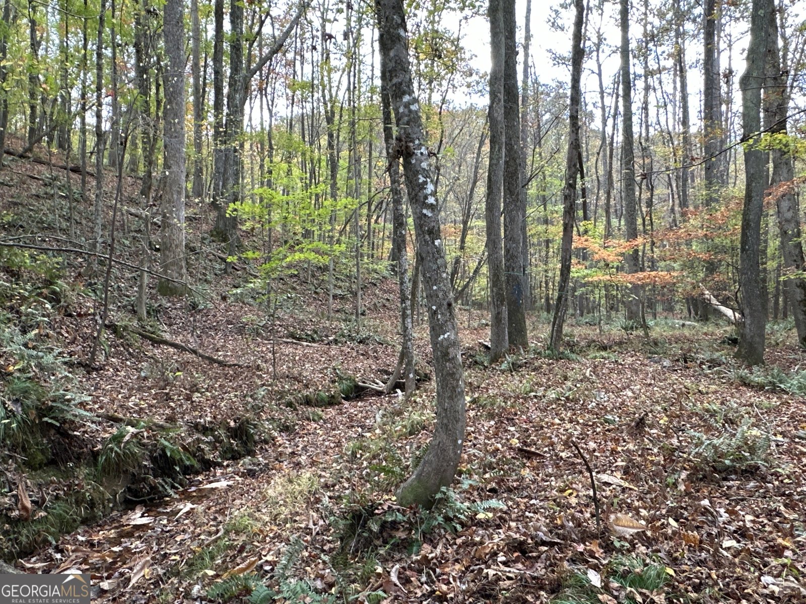 1806 Browning Rd Rockmart - Photo 21