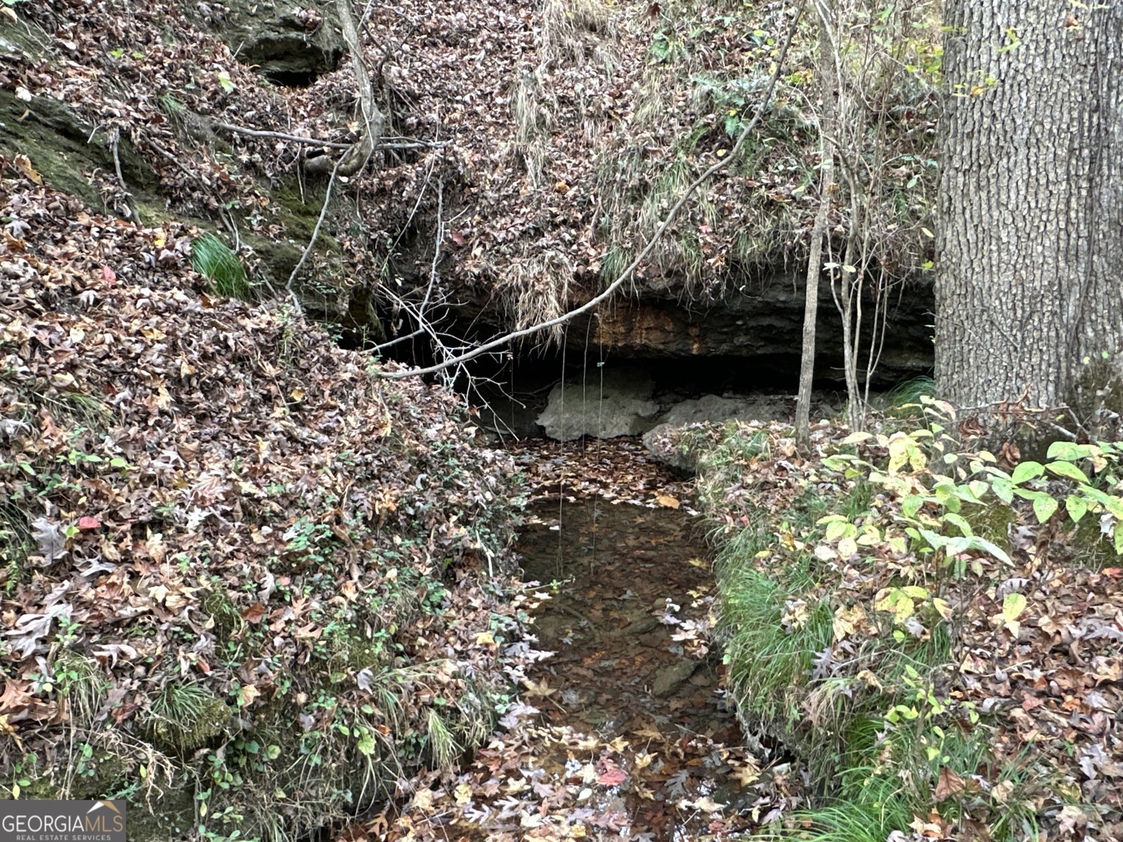 1806 Browning Rd Rockmart - Photo 22