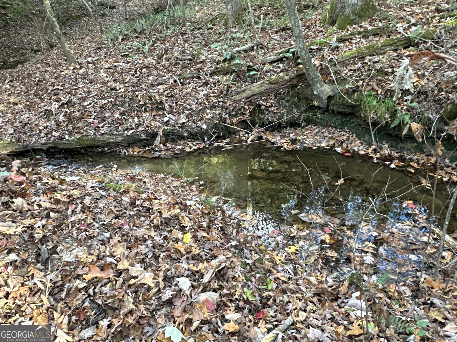 1806 Browning Rd Rockmart - Photo 23