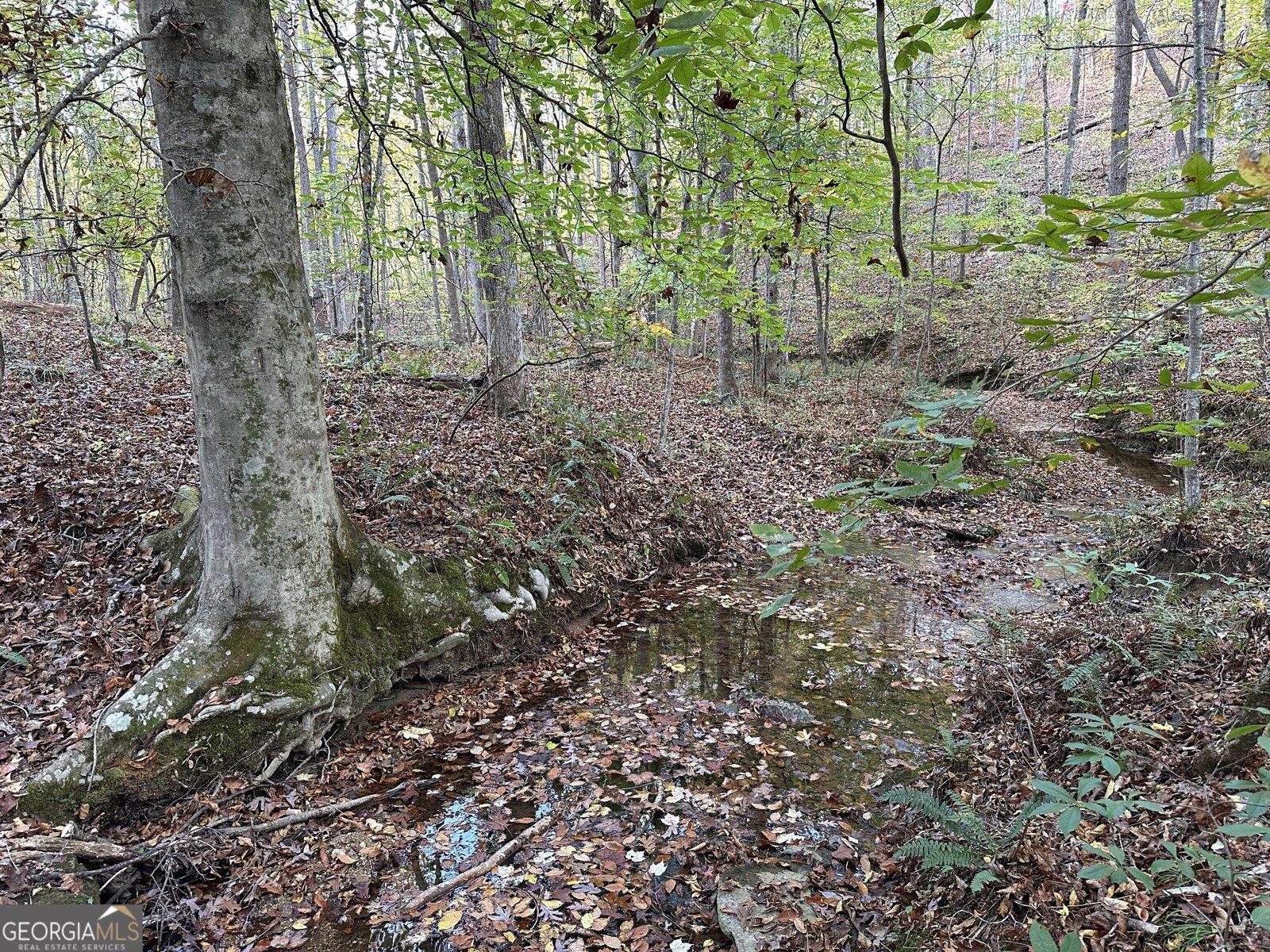 1806 Browning Rd Rockmart - Photo 24