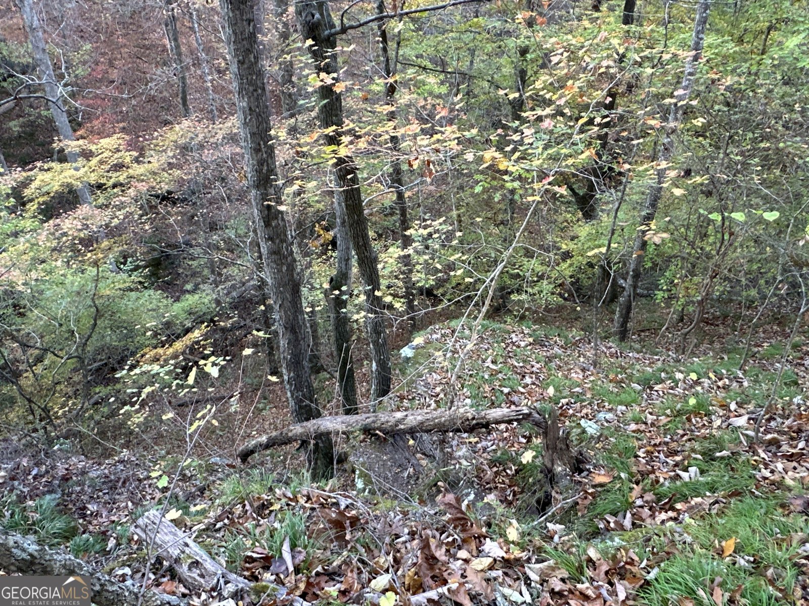 1806 Browning Rd Rockmart - Photo 26