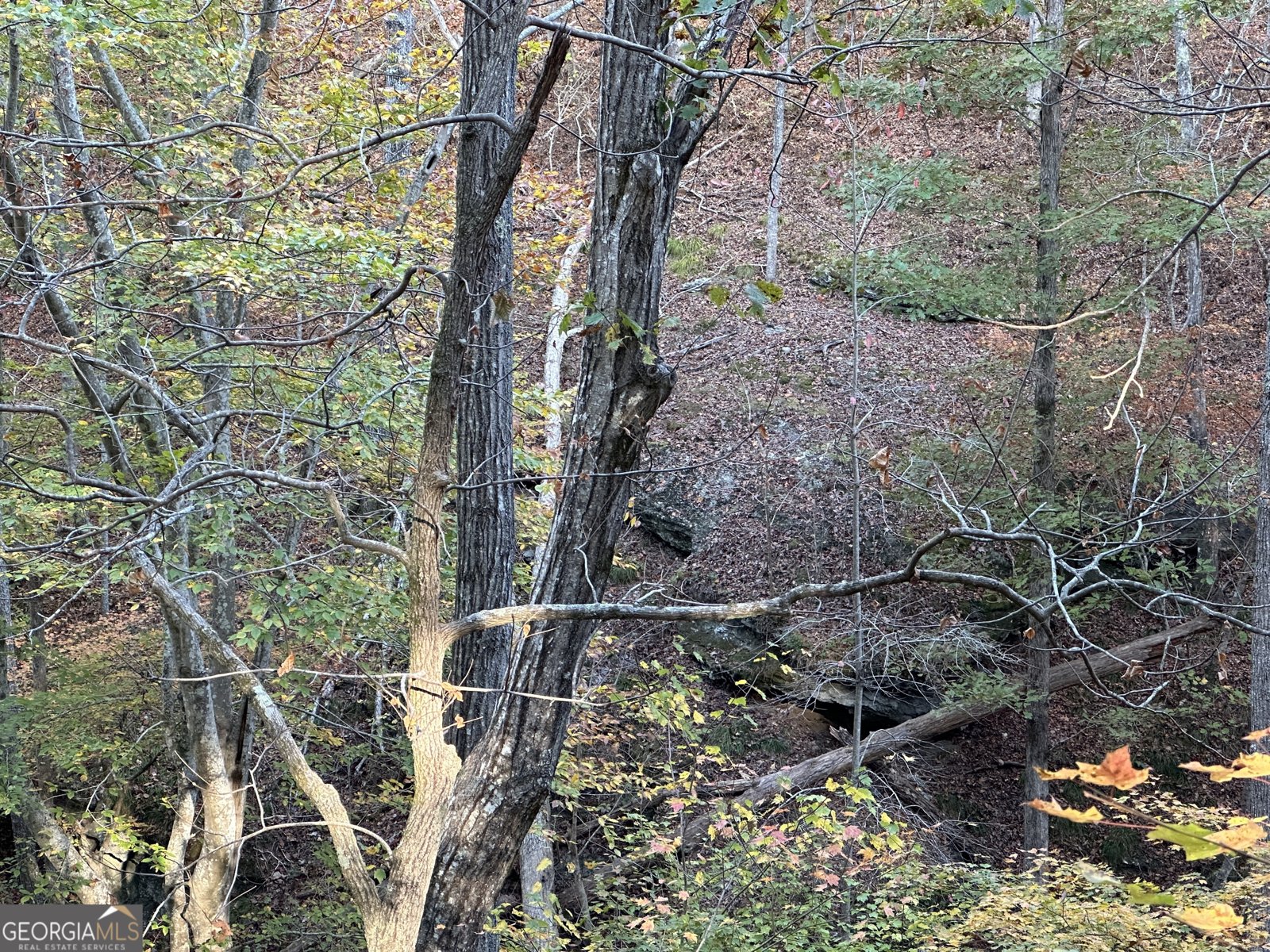 1806 Browning Rd Rockmart - Photo 27