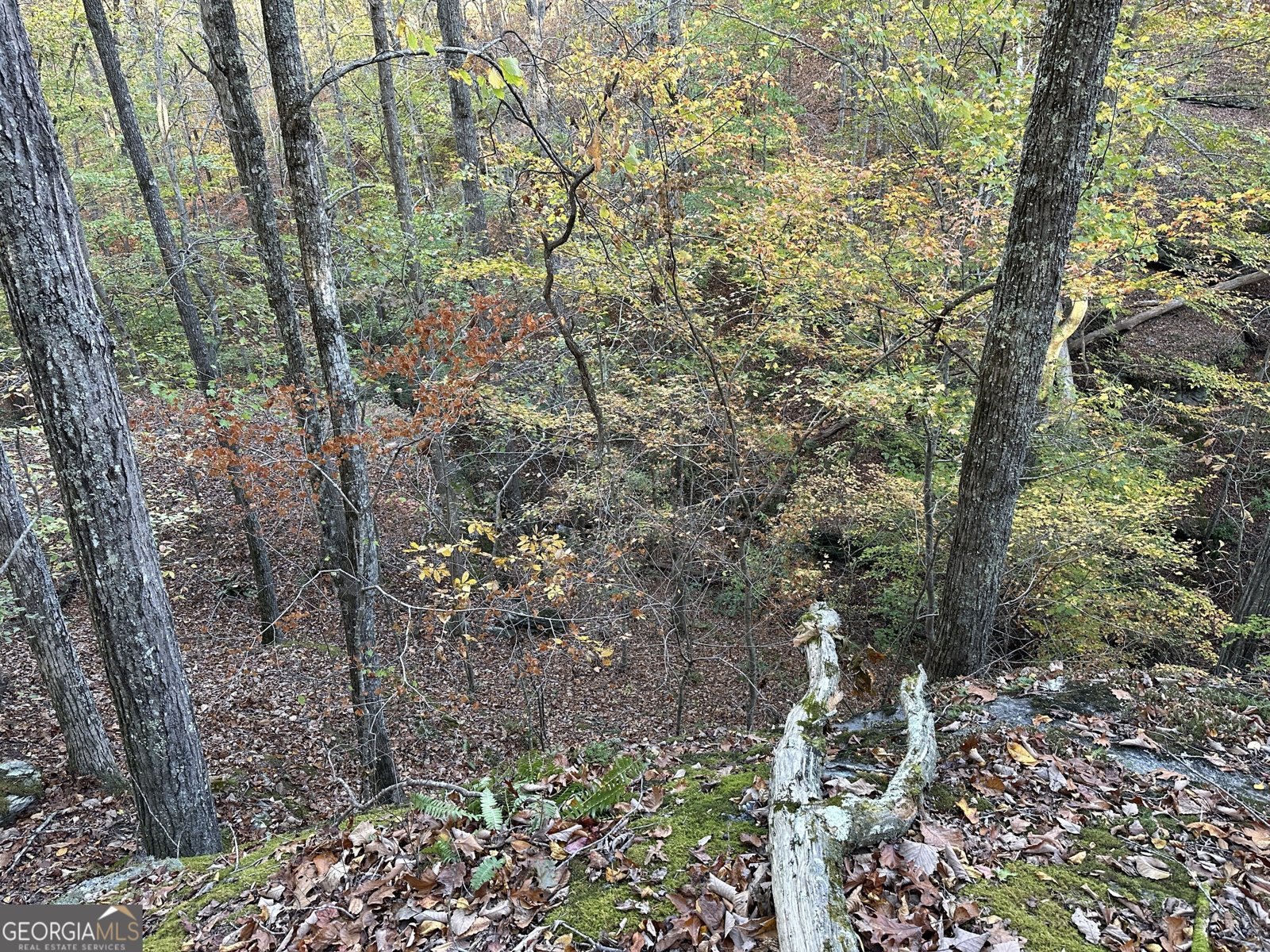 1806 Browning Rd Rockmart - Photo 28