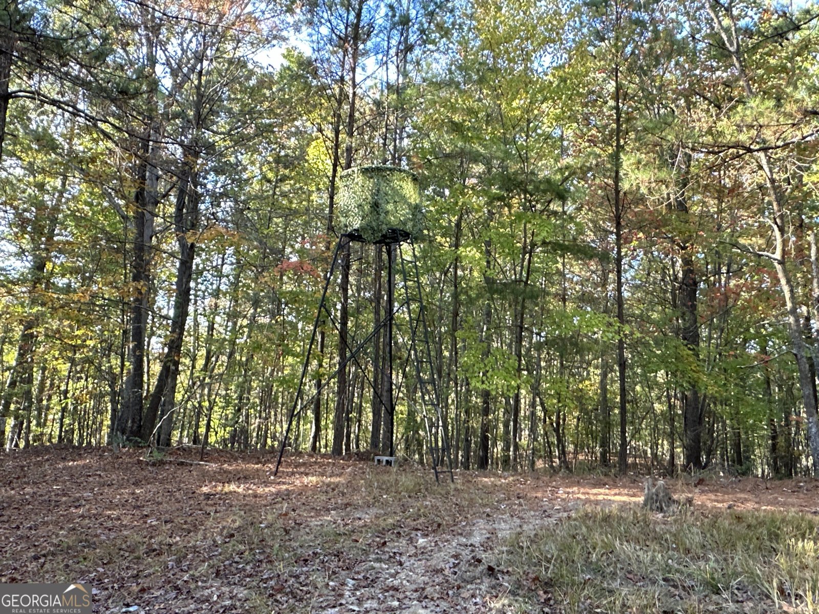1806 Browning Rd Rockmart - Photo 30