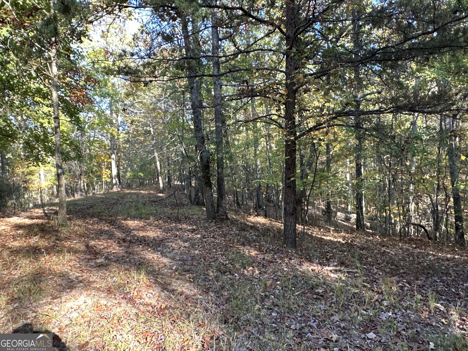 1806 Browning Rd Rockmart - Photo 31
