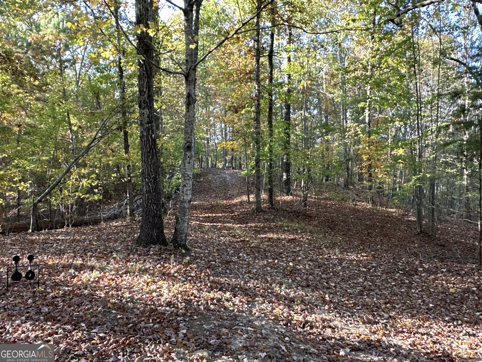 1806 Browning Rd Rockmart - Photo 32
