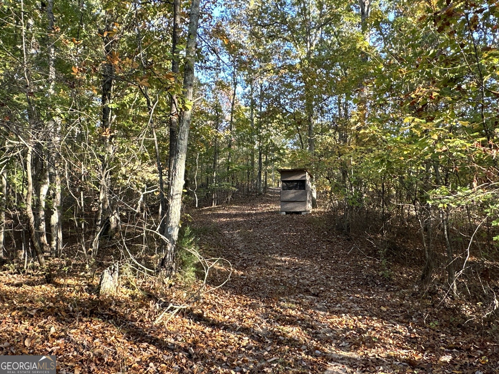 1806 Browning Rd Rockmart - Photo 48