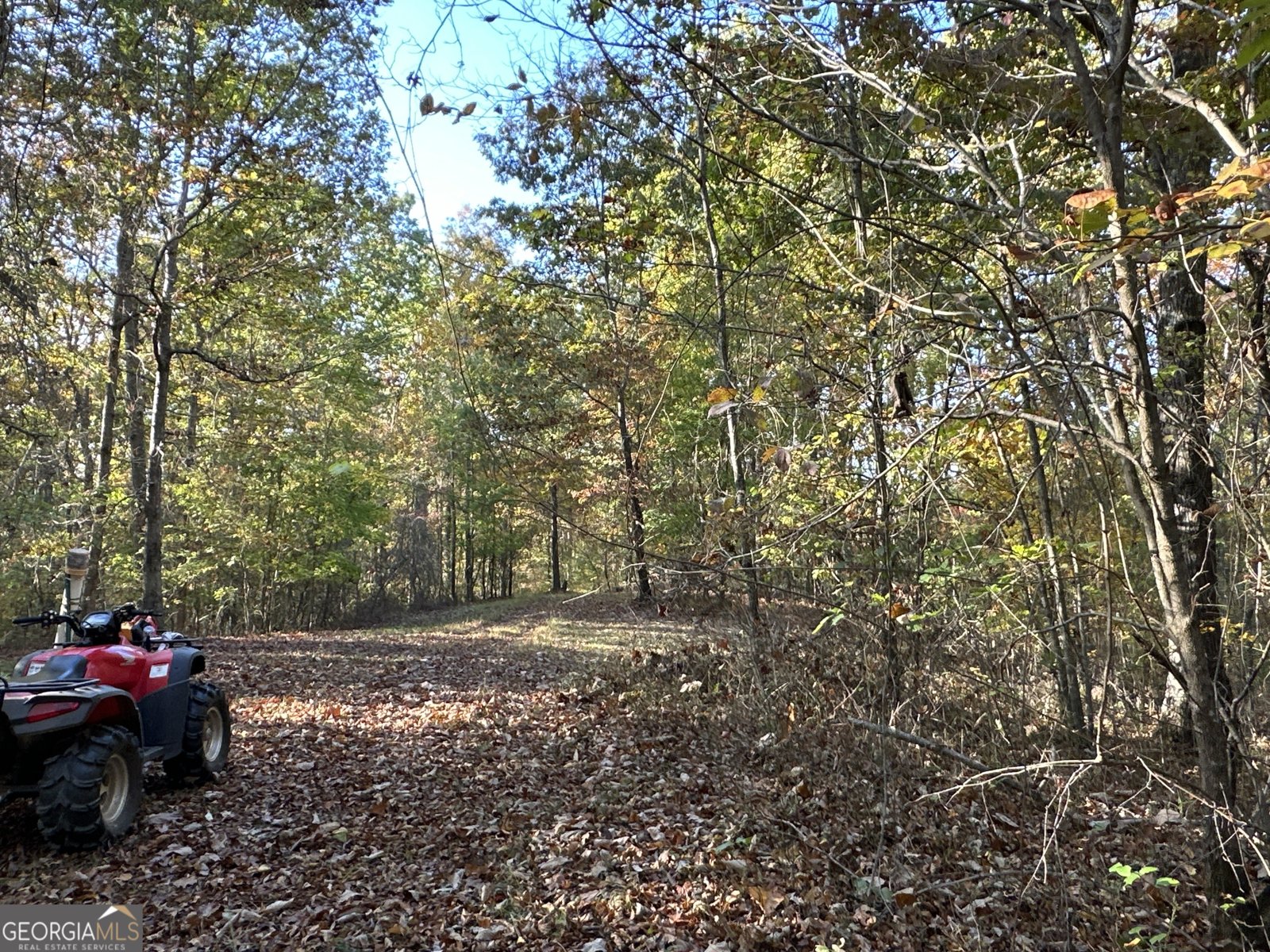 1806 Browning Rd Rockmart - Photo 49