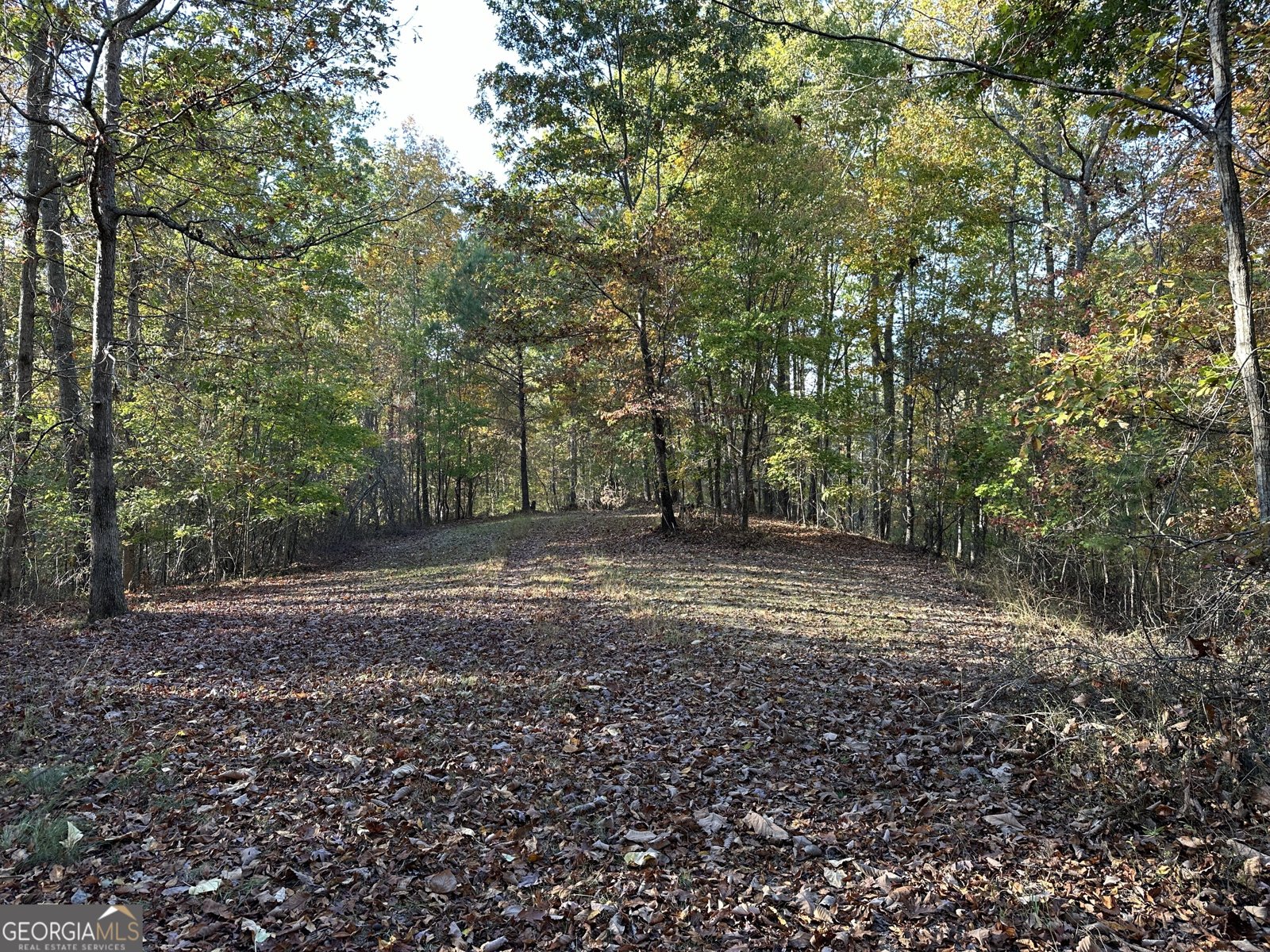 1806 Browning Rd Rockmart - Photo 50