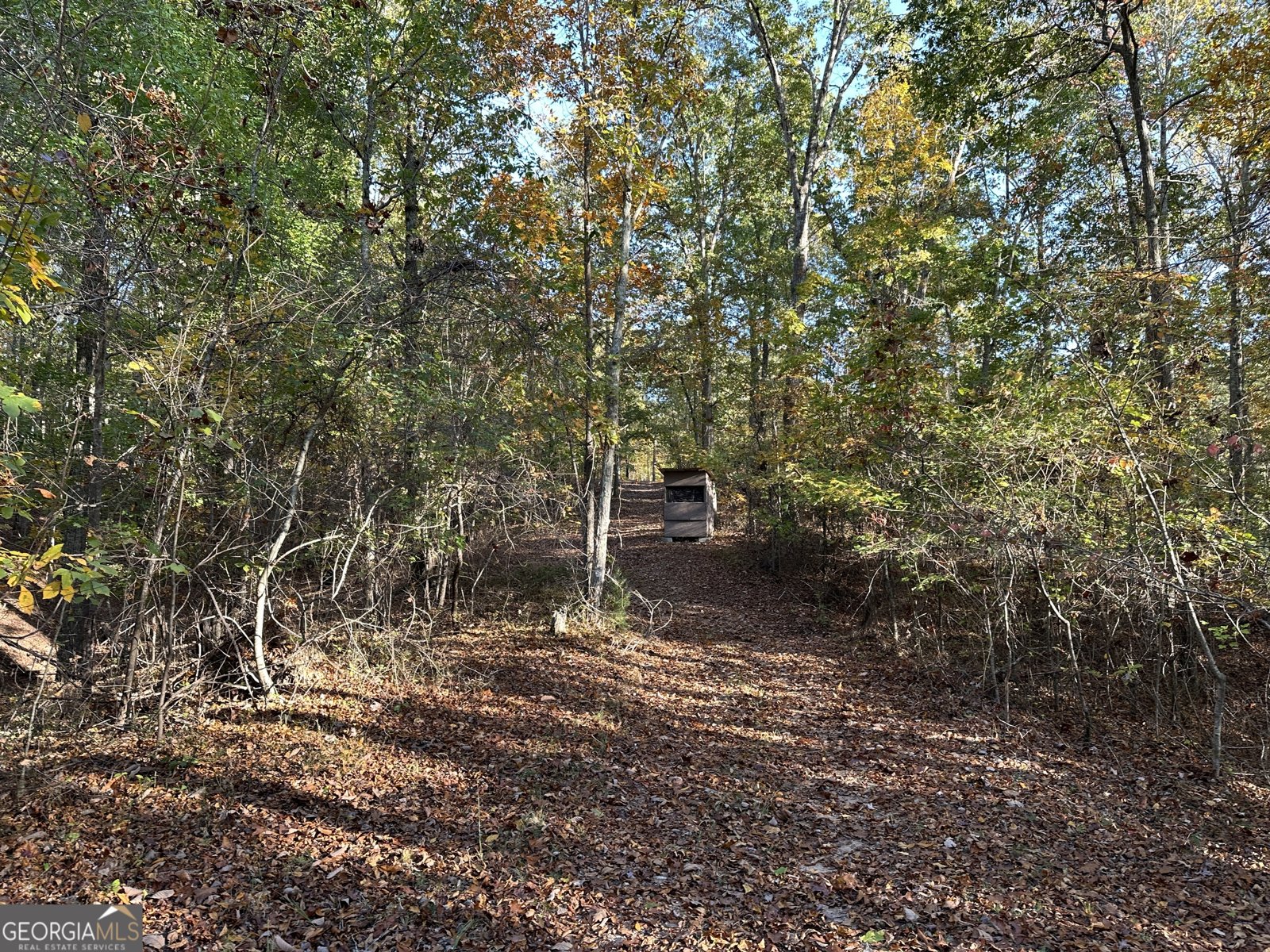 1806 Browning Rd Rockmart - Photo 51