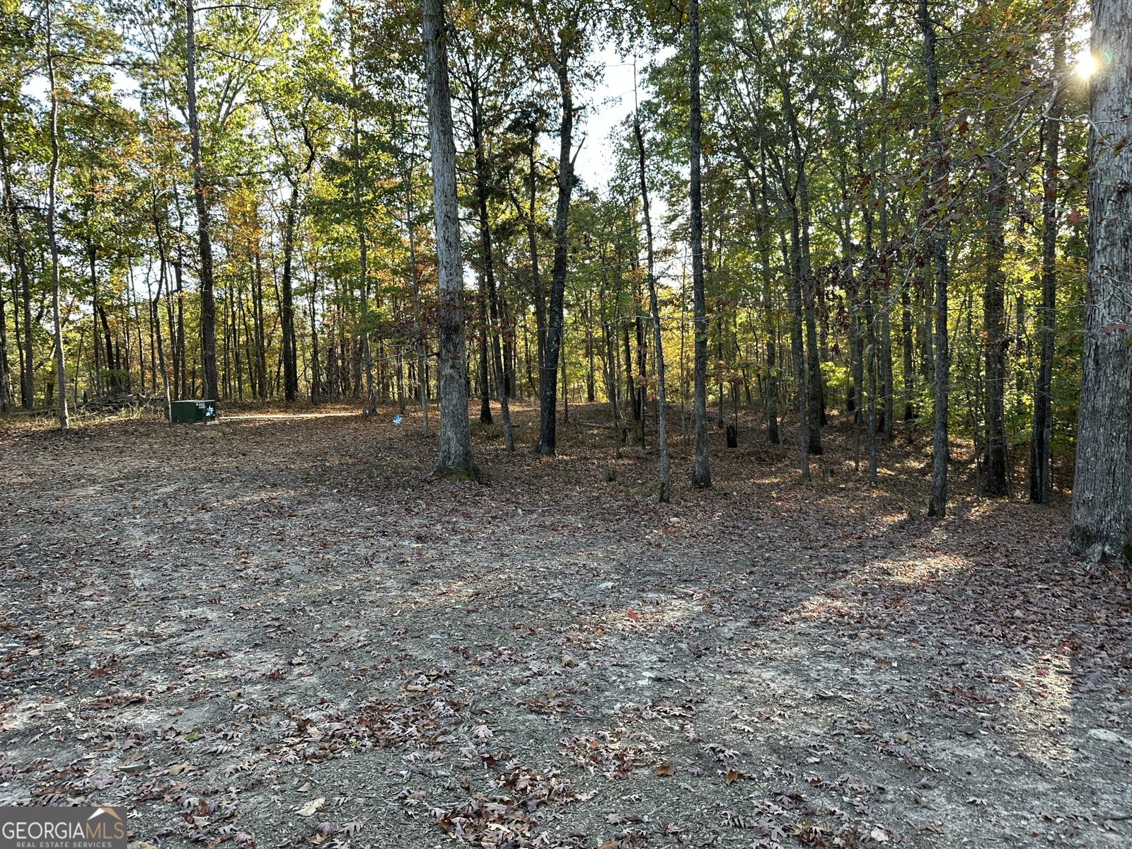 1806 Browning Rd Rockmart - Photo 57