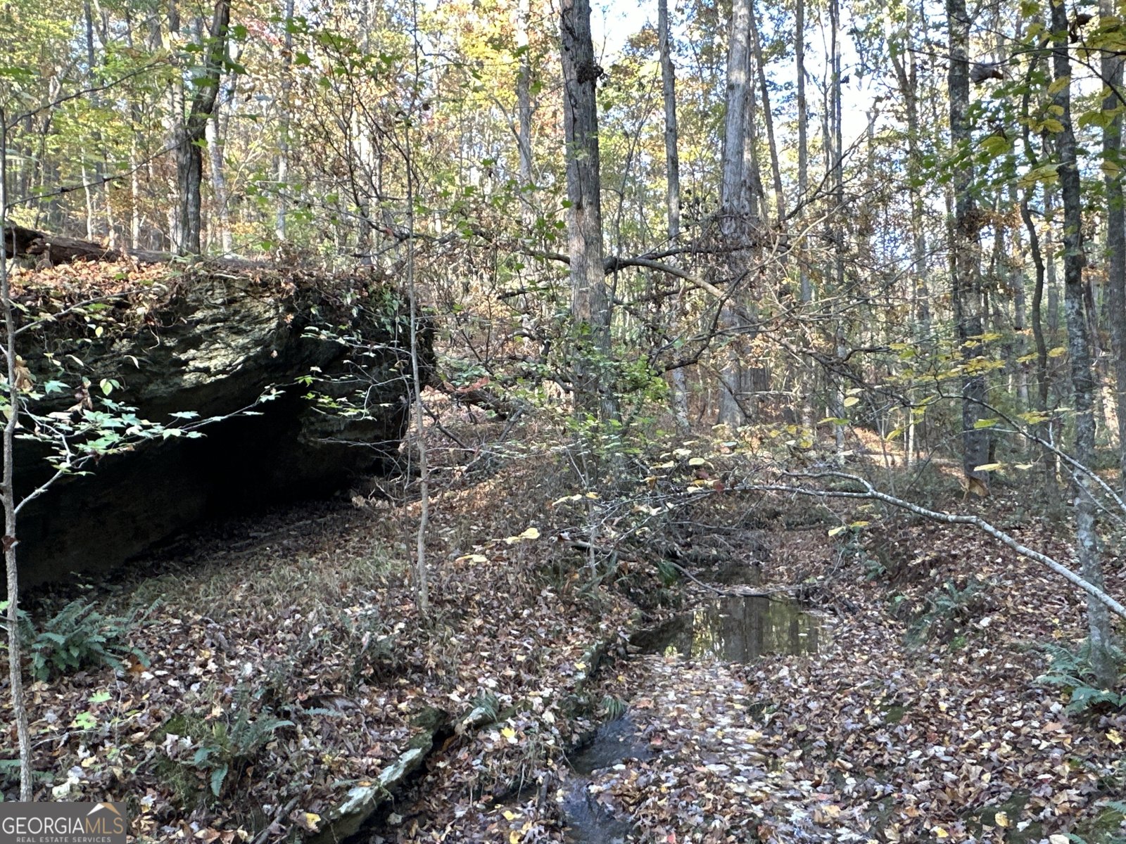 1806 Browning Rd Rockmart - Photo 58