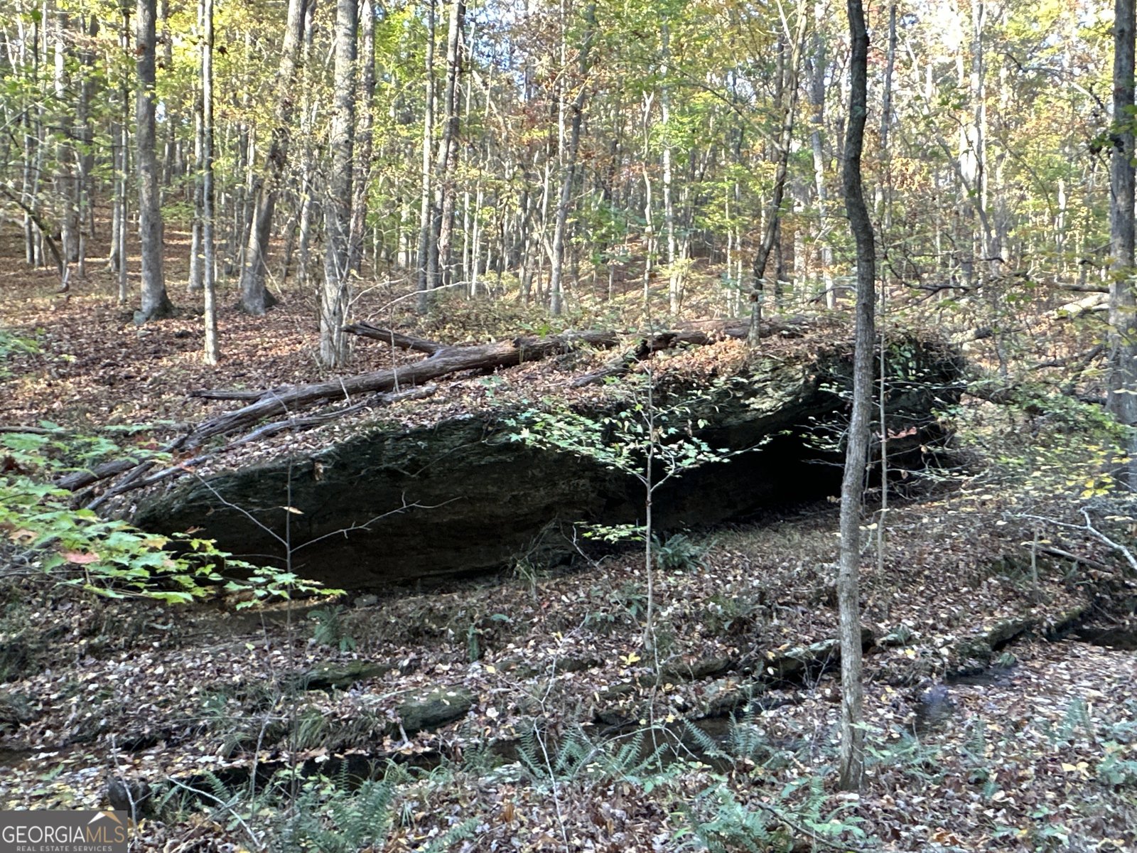 1806 Browning Rd Rockmart - Photo 60