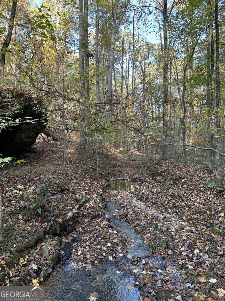 1806 Browning Rd Rockmart - Photo 63