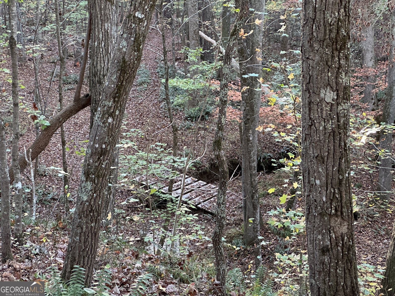 1806 Browning Rd Rockmart - Photo 72