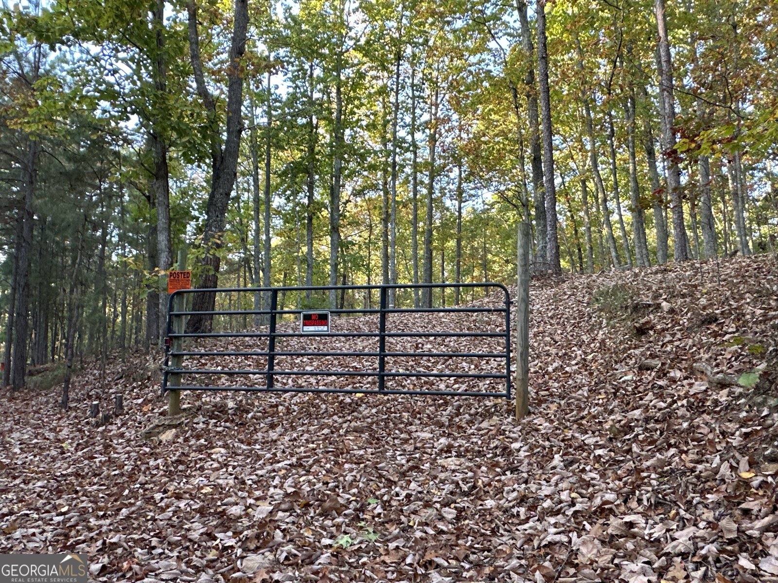 1806 Browning Rd Rockmart - Photo 75