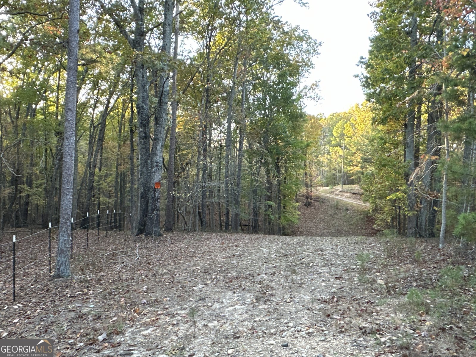 1806 Browning Rd Rockmart - Photo 77