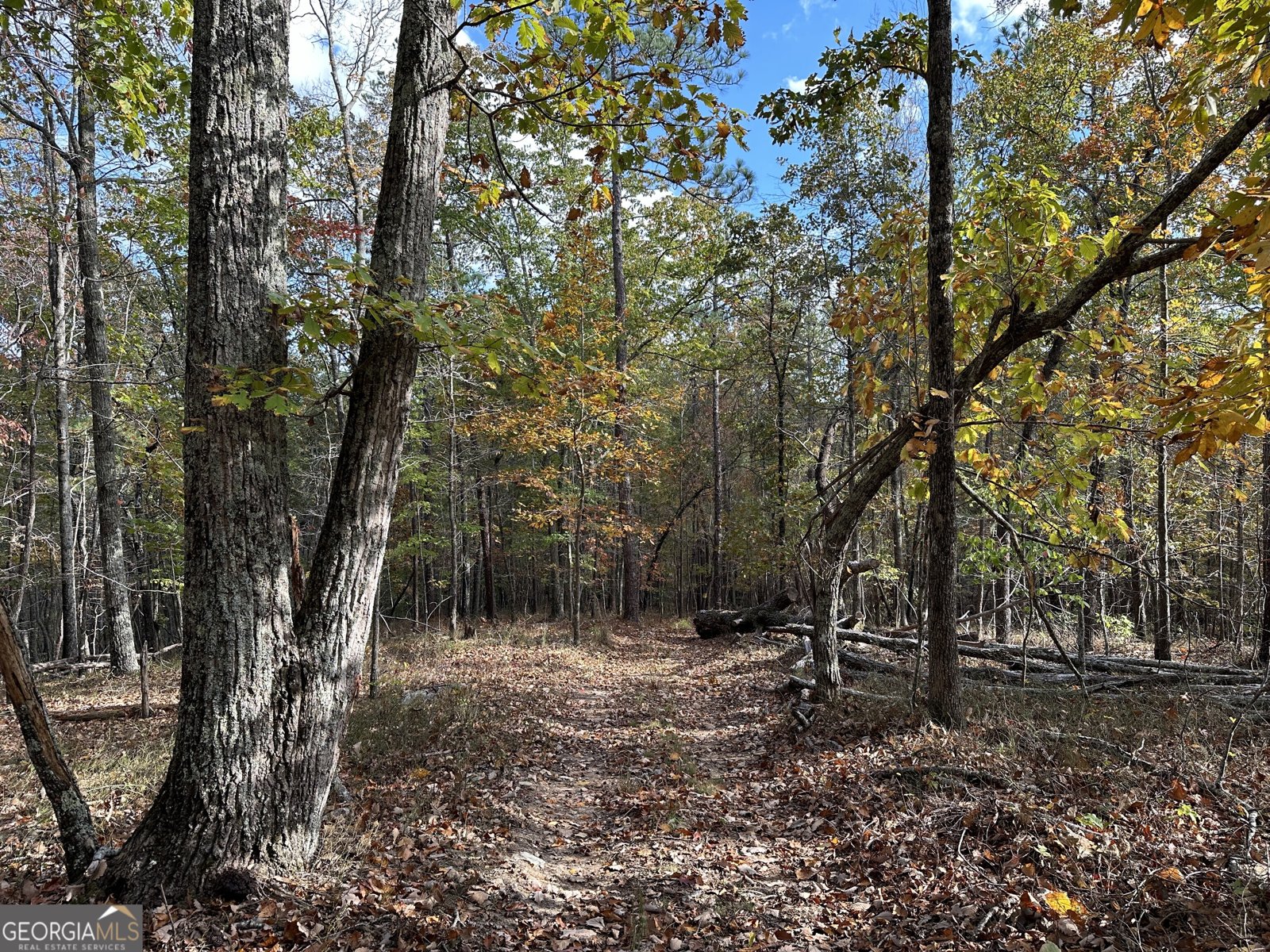 1806 Browning Rd Rockmart - Photo 8