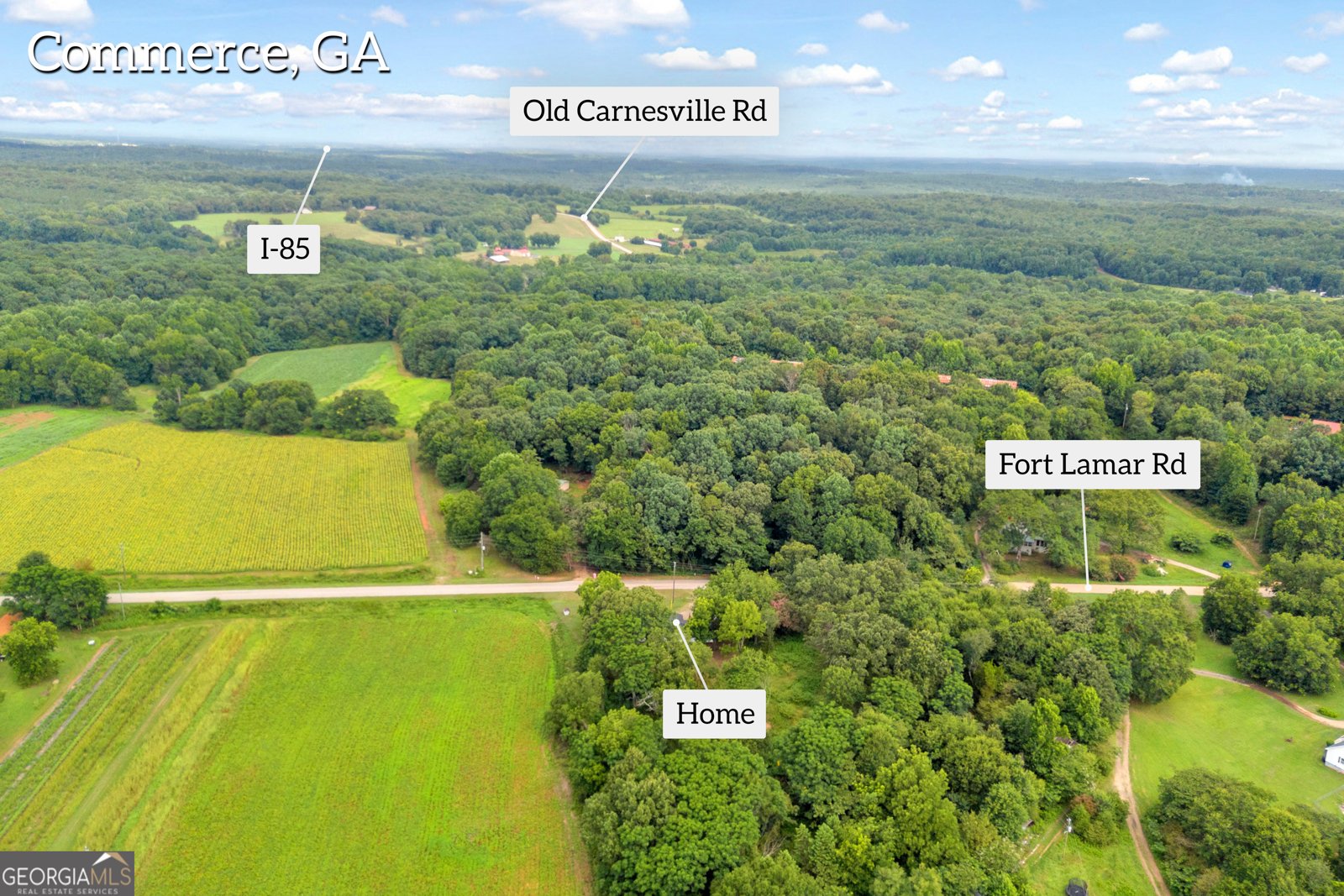 1690 Fort Lamar Road Commerce - Photo 39
