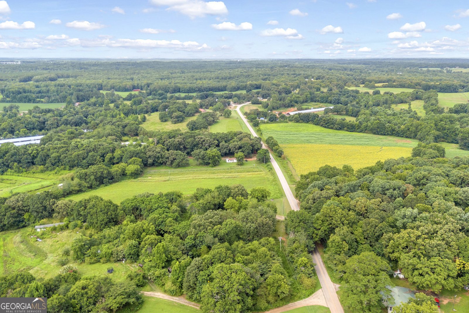 1690 Fort Lamar Road Commerce - Photo 44