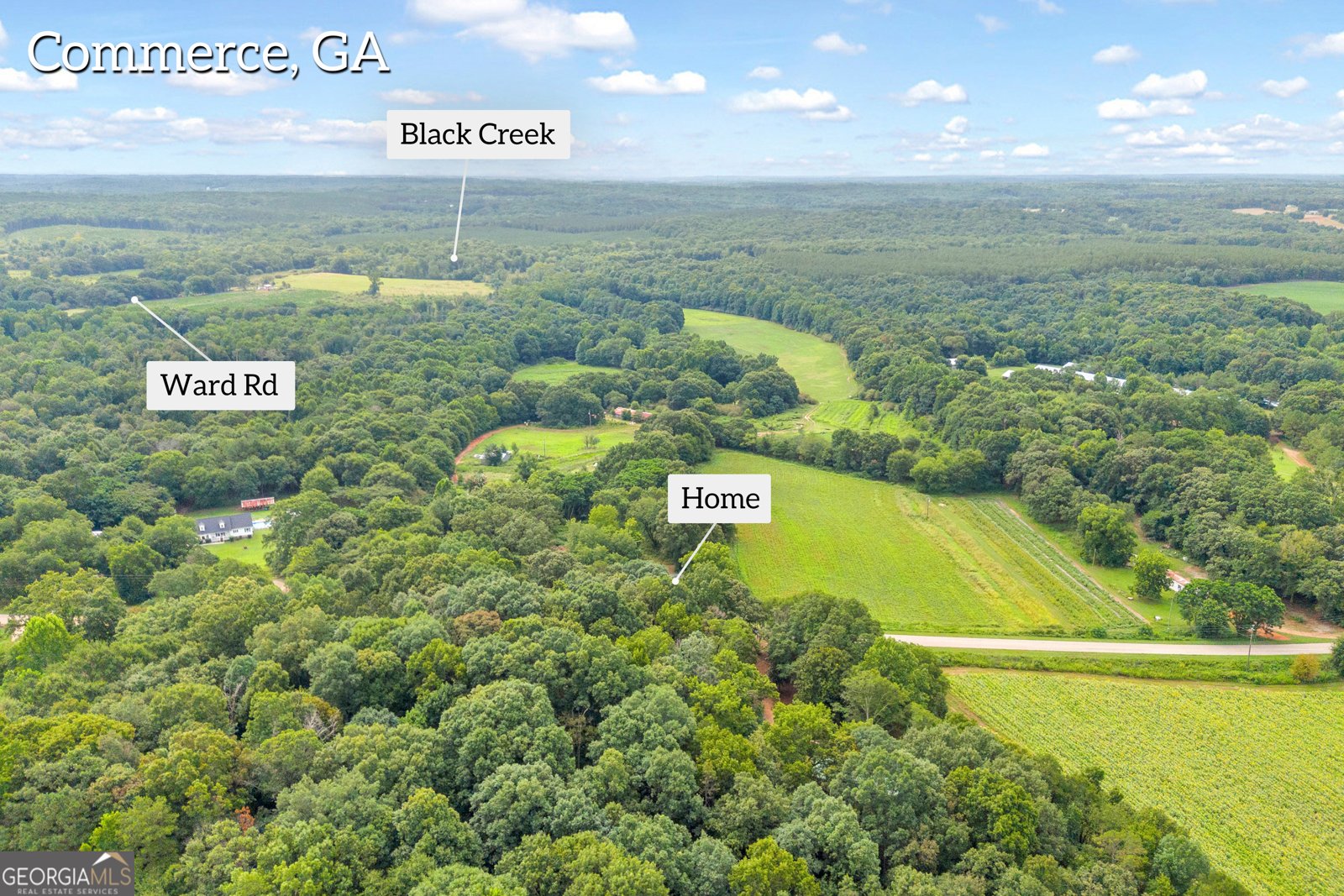 1690 Fort Lamar Road Commerce - Photo 48