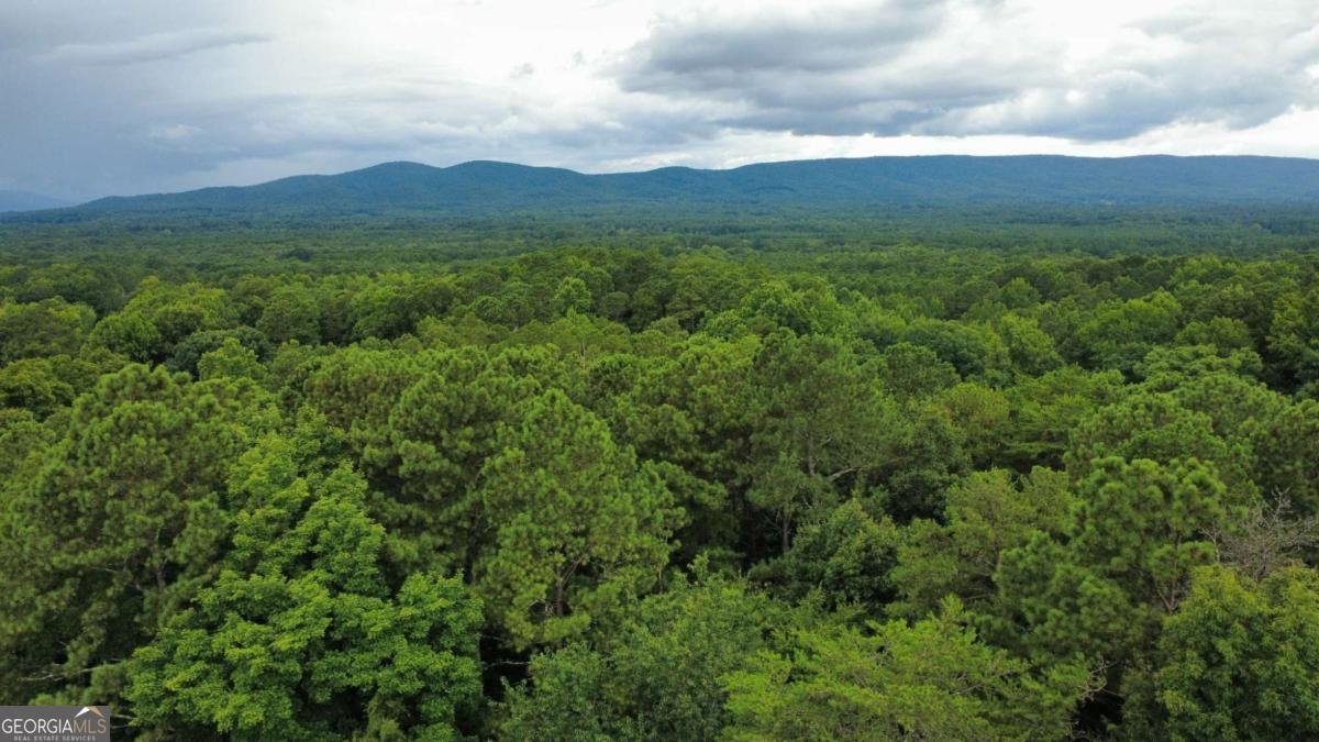 316 Armuchee Trail Rome - Photo 37