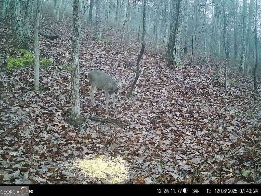 316 Armuchee Trail Rome - Photo 43