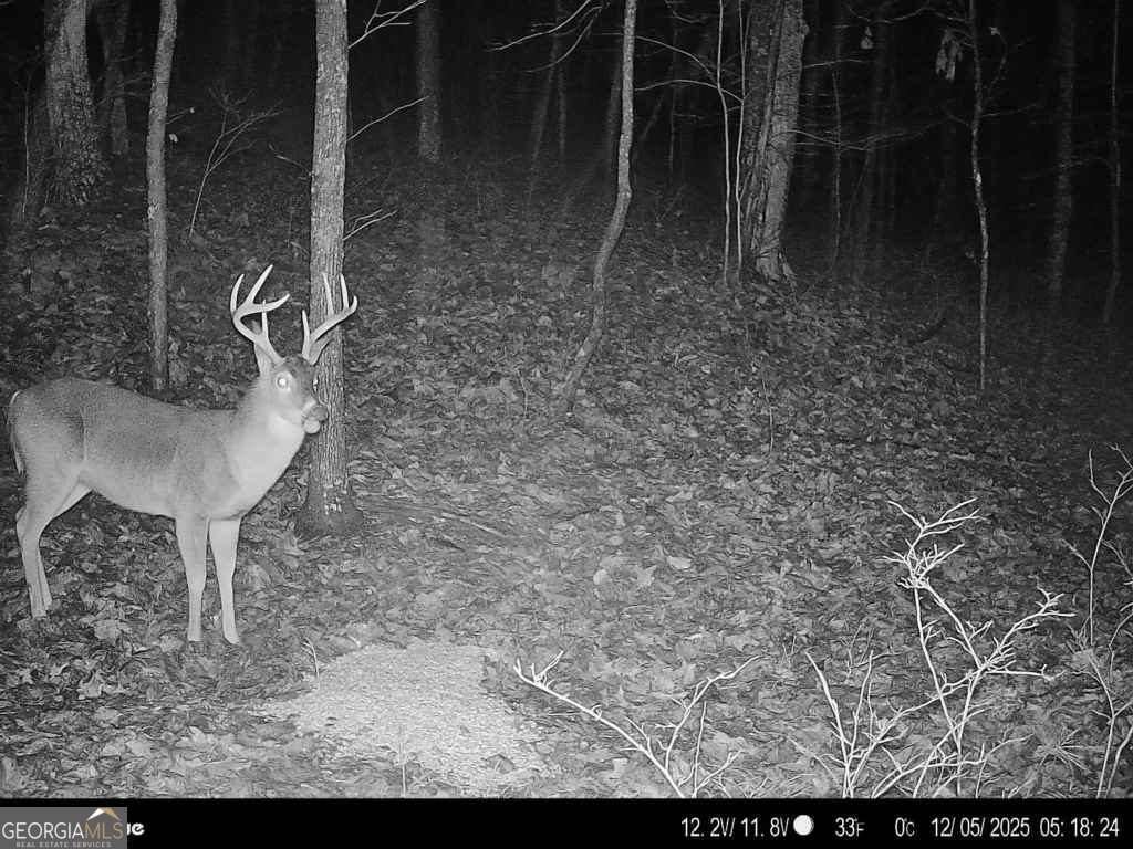 316 Armuchee Trail Rome - Photo 8