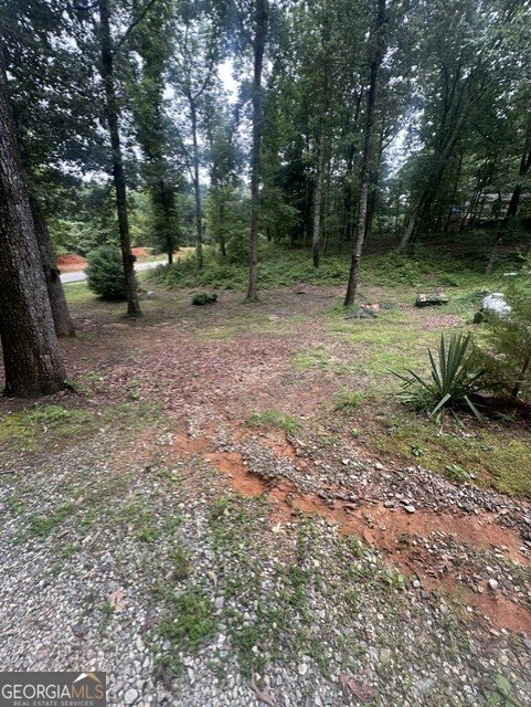 317 Forest Trail Clarkesville - Photo 14