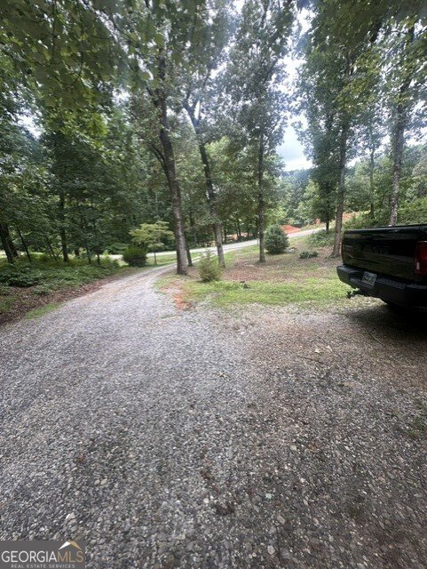 317 Forest Trail Clarkesville - Photo 16