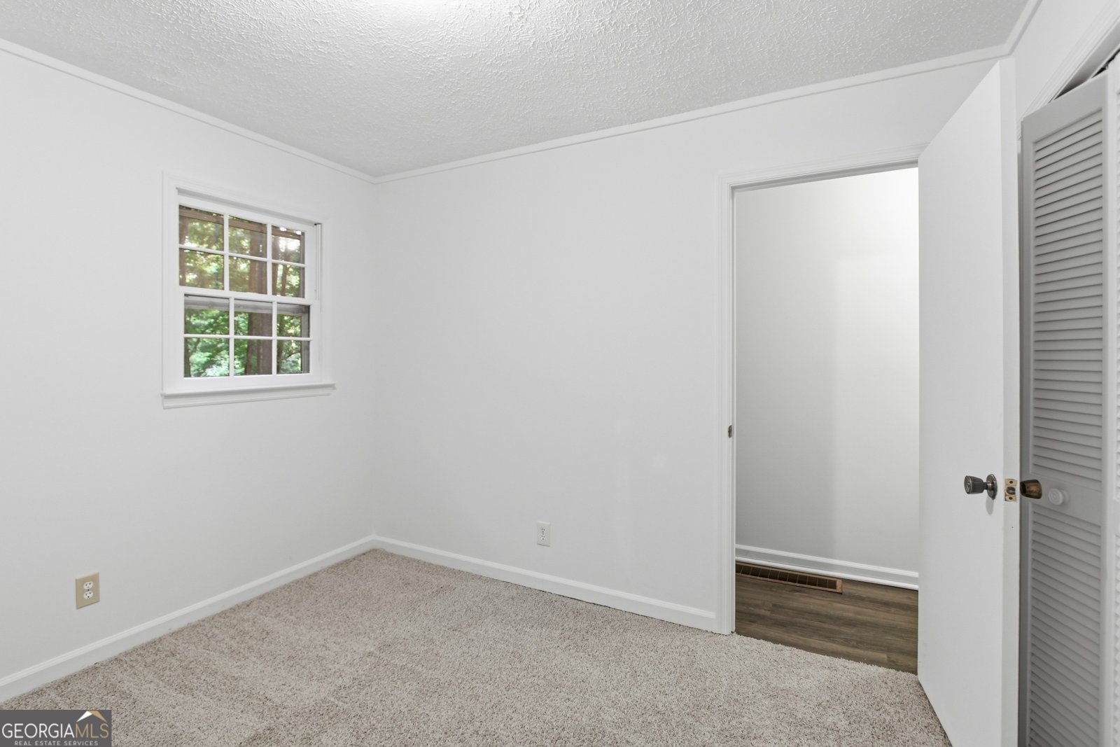671 Toonigh Road Canton - Photo 19