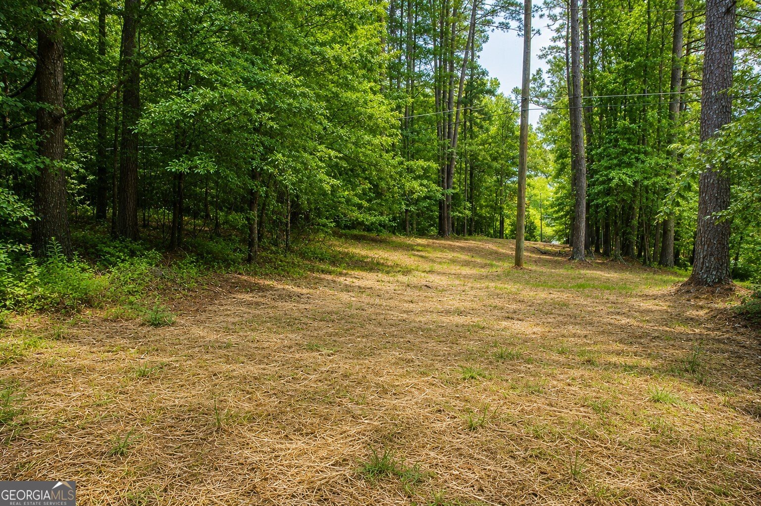 4805 Rockmart Rd Silver Creek - Photo 41