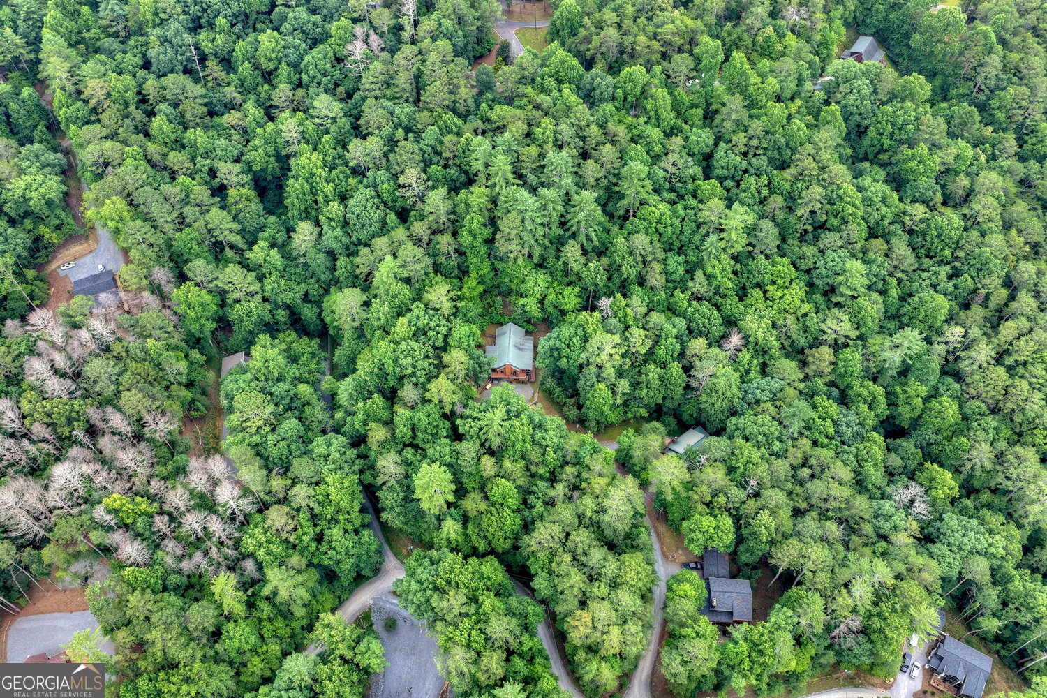 50 Kings Court Ellijay - Photo 71