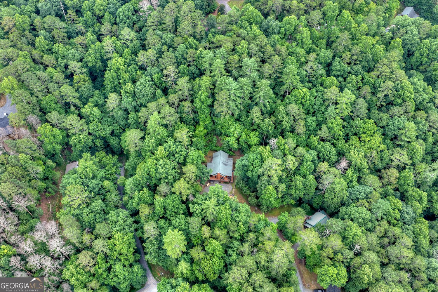 50 Kings Court Ellijay - Photo 72