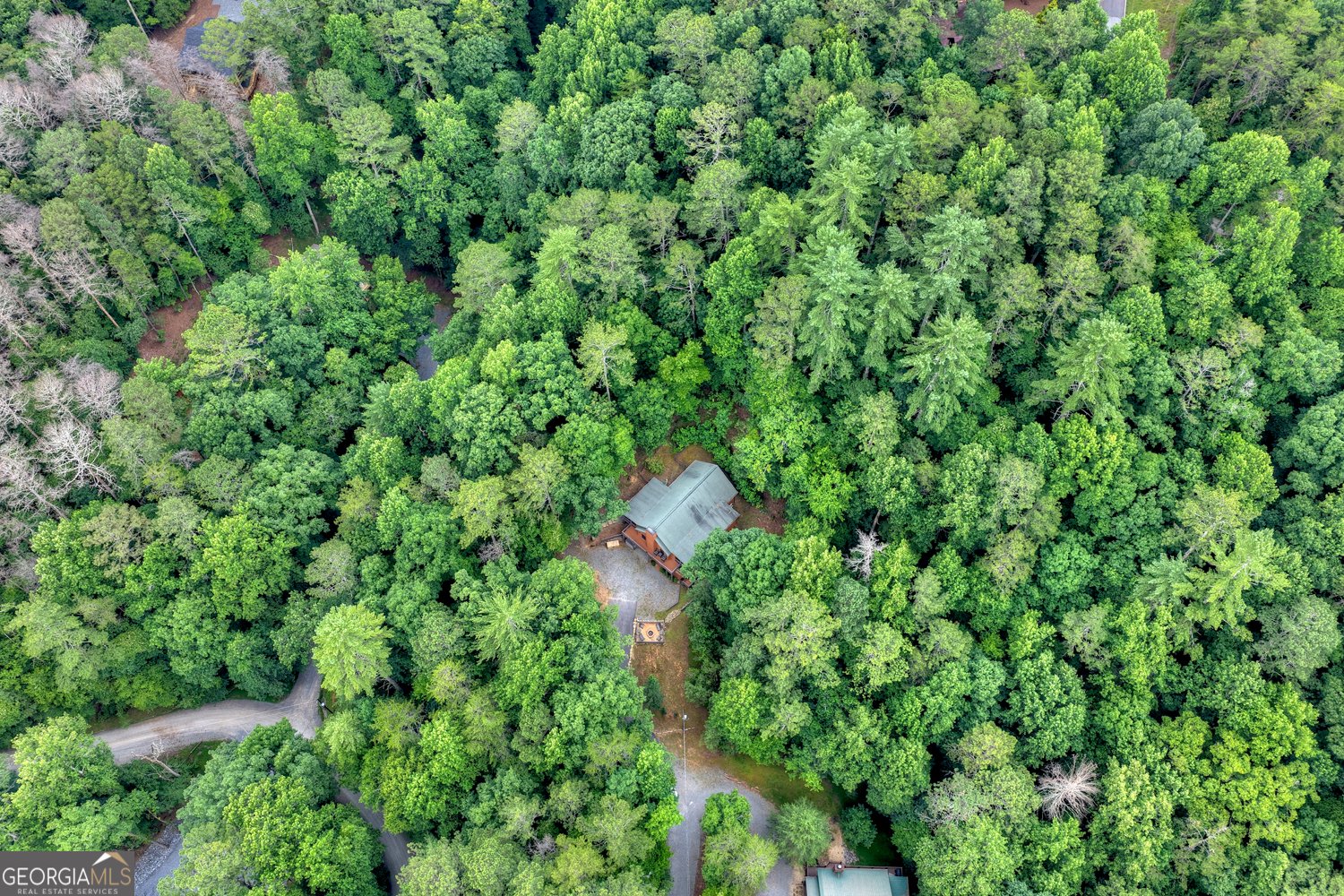 50 Kings Court Ellijay - Photo 73