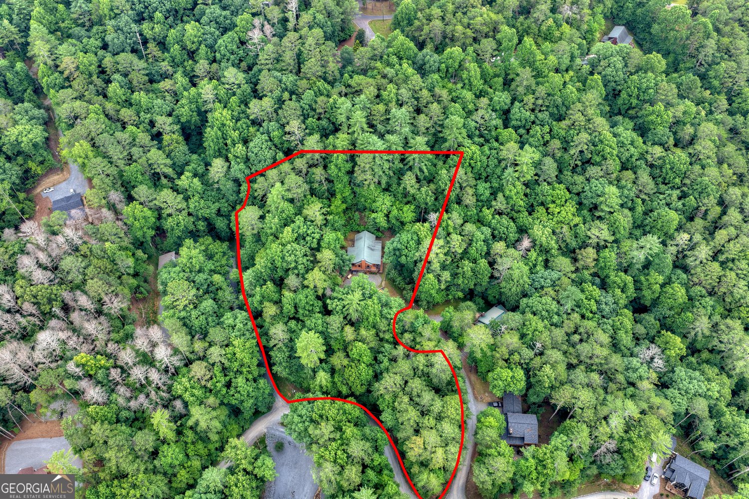 50 Kings Court Ellijay - Photo 9