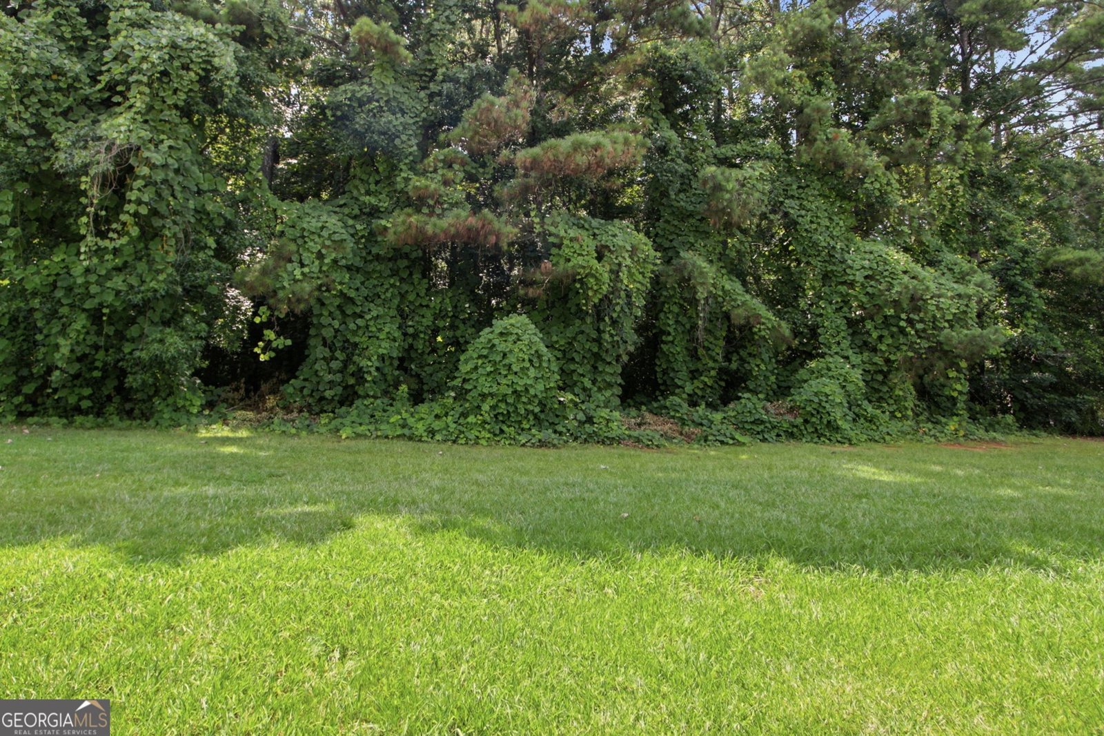 1452 Stroud Road Mcdonough - Photo 27