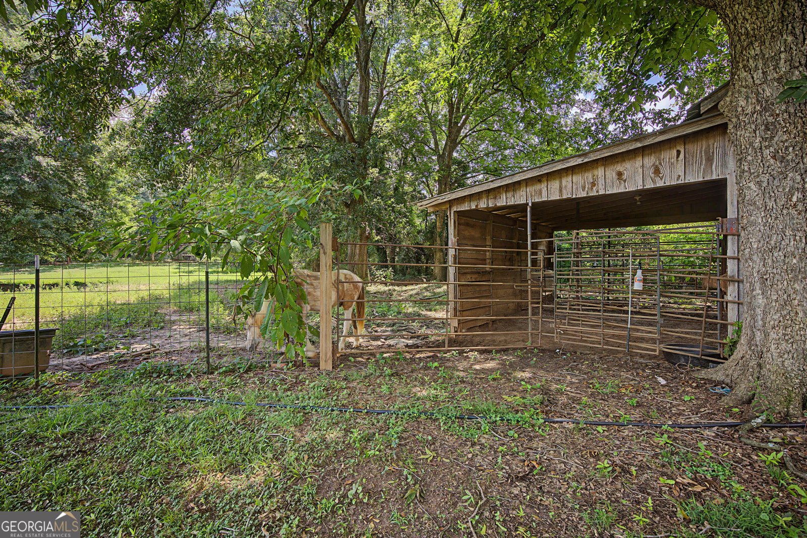 151 Ginn Street Carnesville - Photo 16
