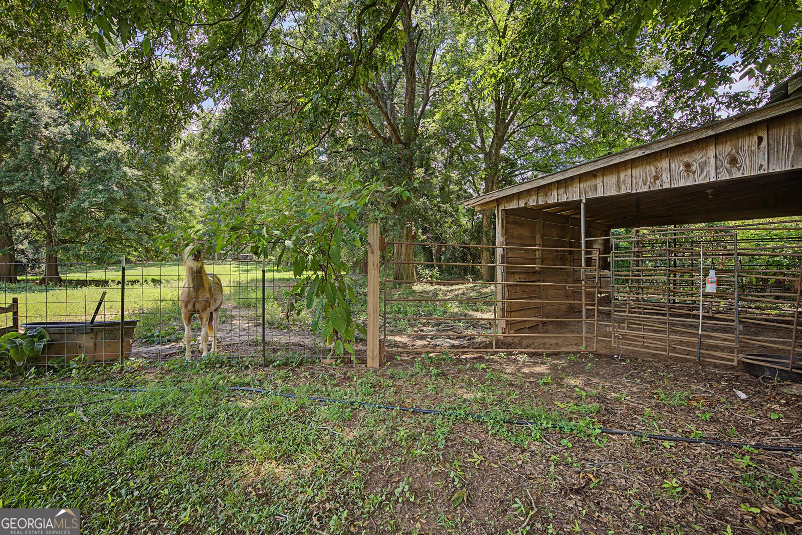 151 Ginn Street Carnesville - Photo 17