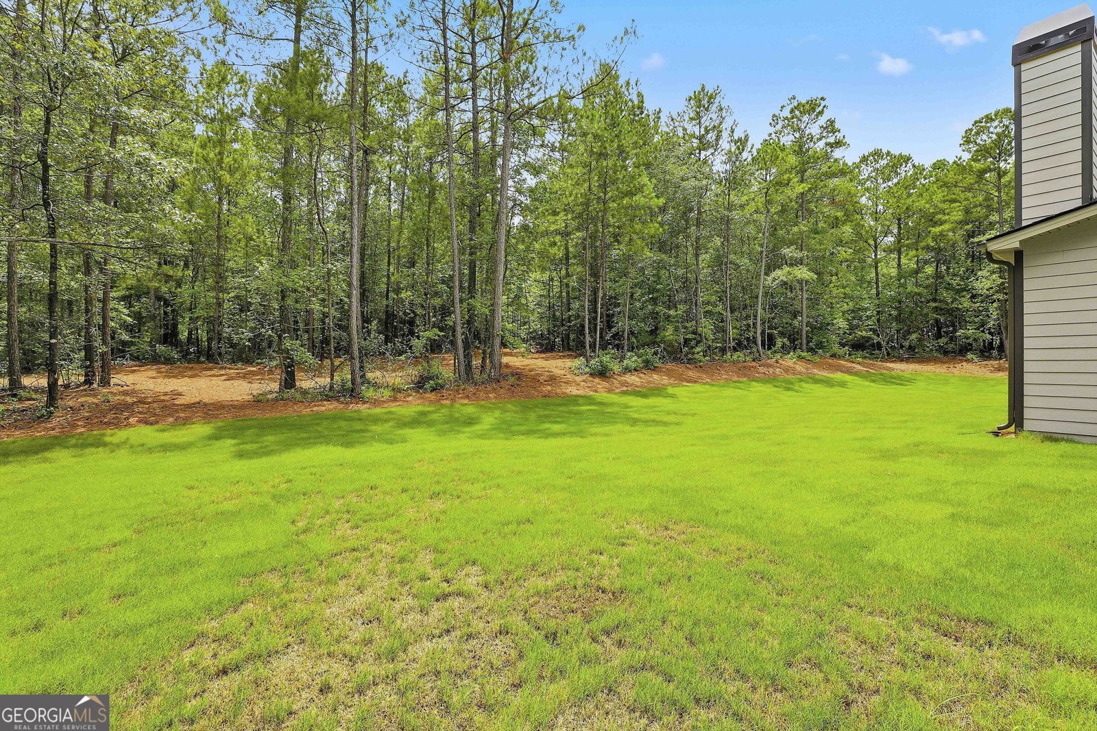 1283 MCINTOSH TRAIL.- LOT 8 Senoia - Photo 36