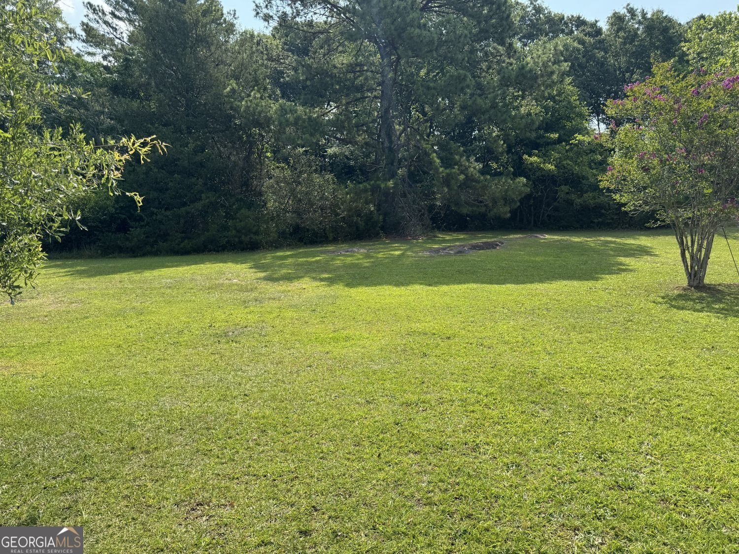 1066 June Dr. Drive Conyers - Photo 12