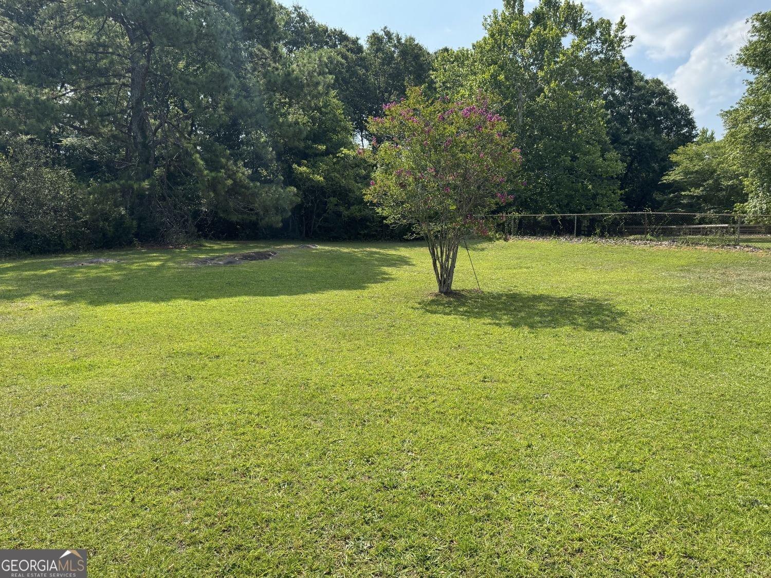 1066 June Dr. Drive Conyers - Photo 14