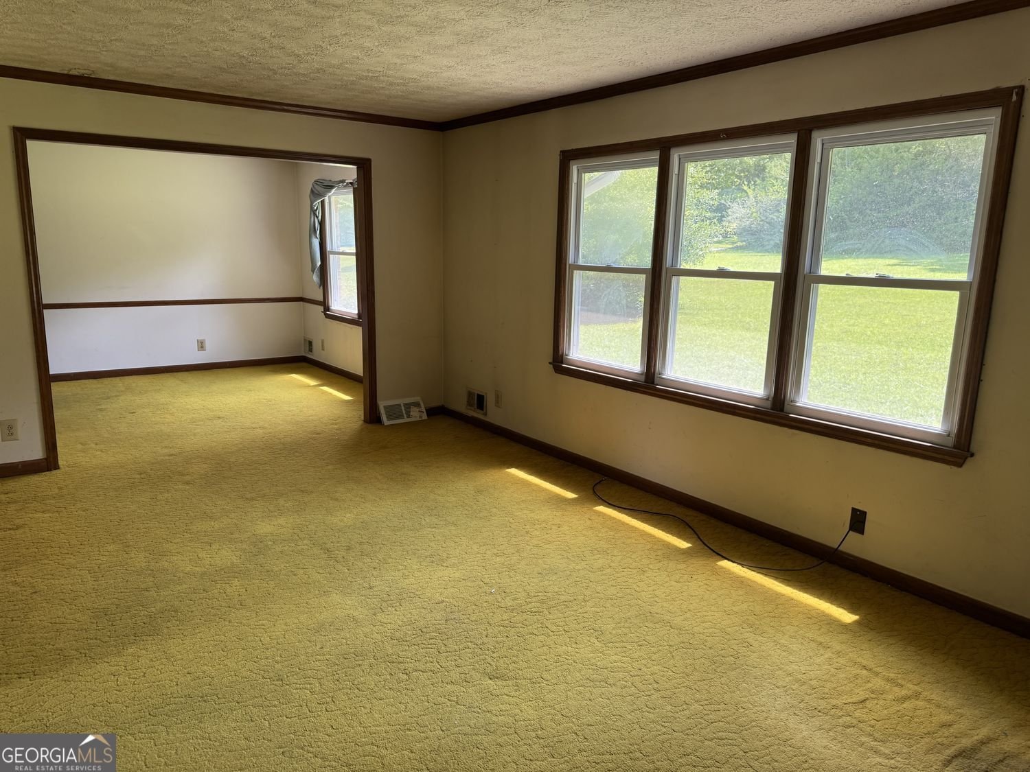 1066 June Dr. Drive Conyers - Photo 30