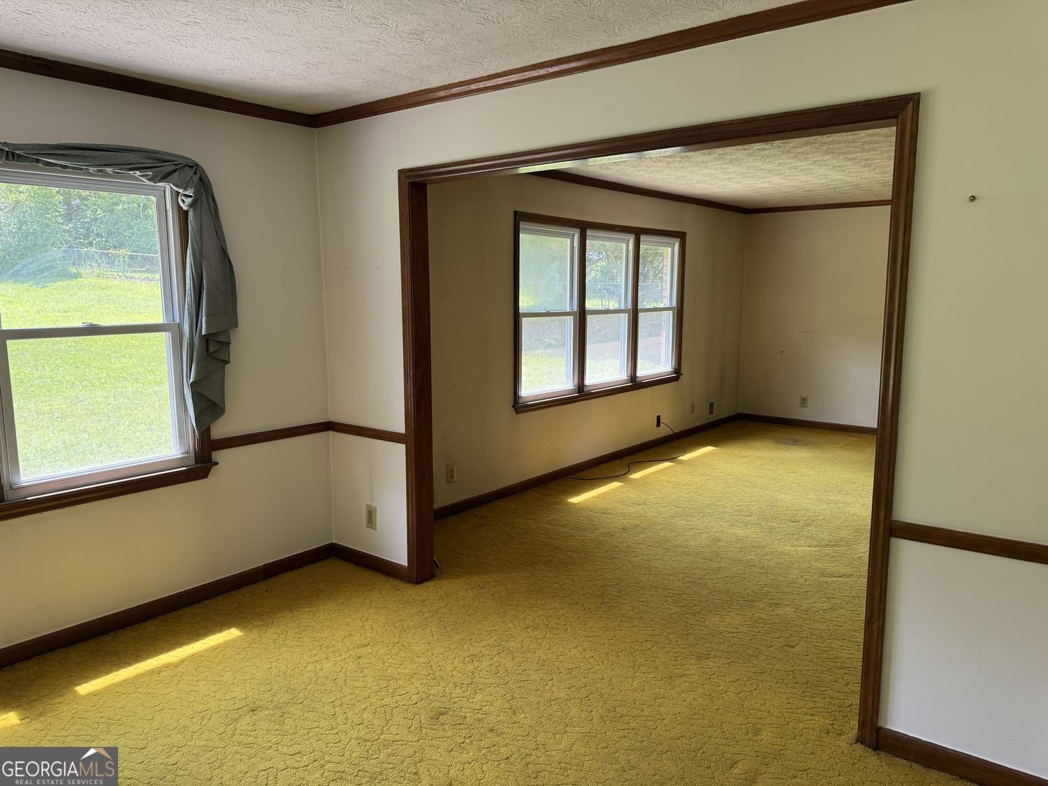 1066 June Dr. Drive Conyers - Photo 31