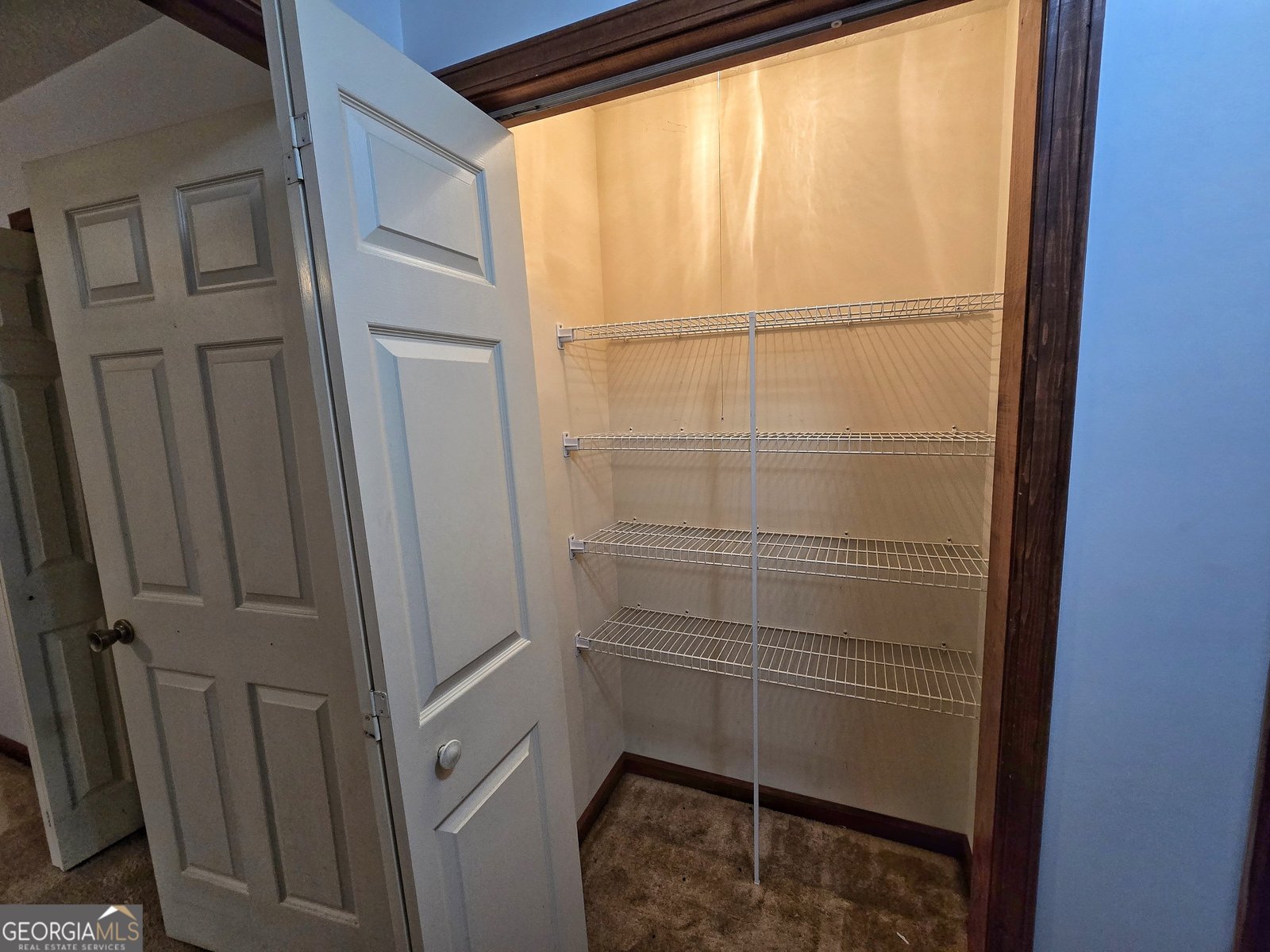 120 ASPEN LAKE Drive Newnan - Photo 121