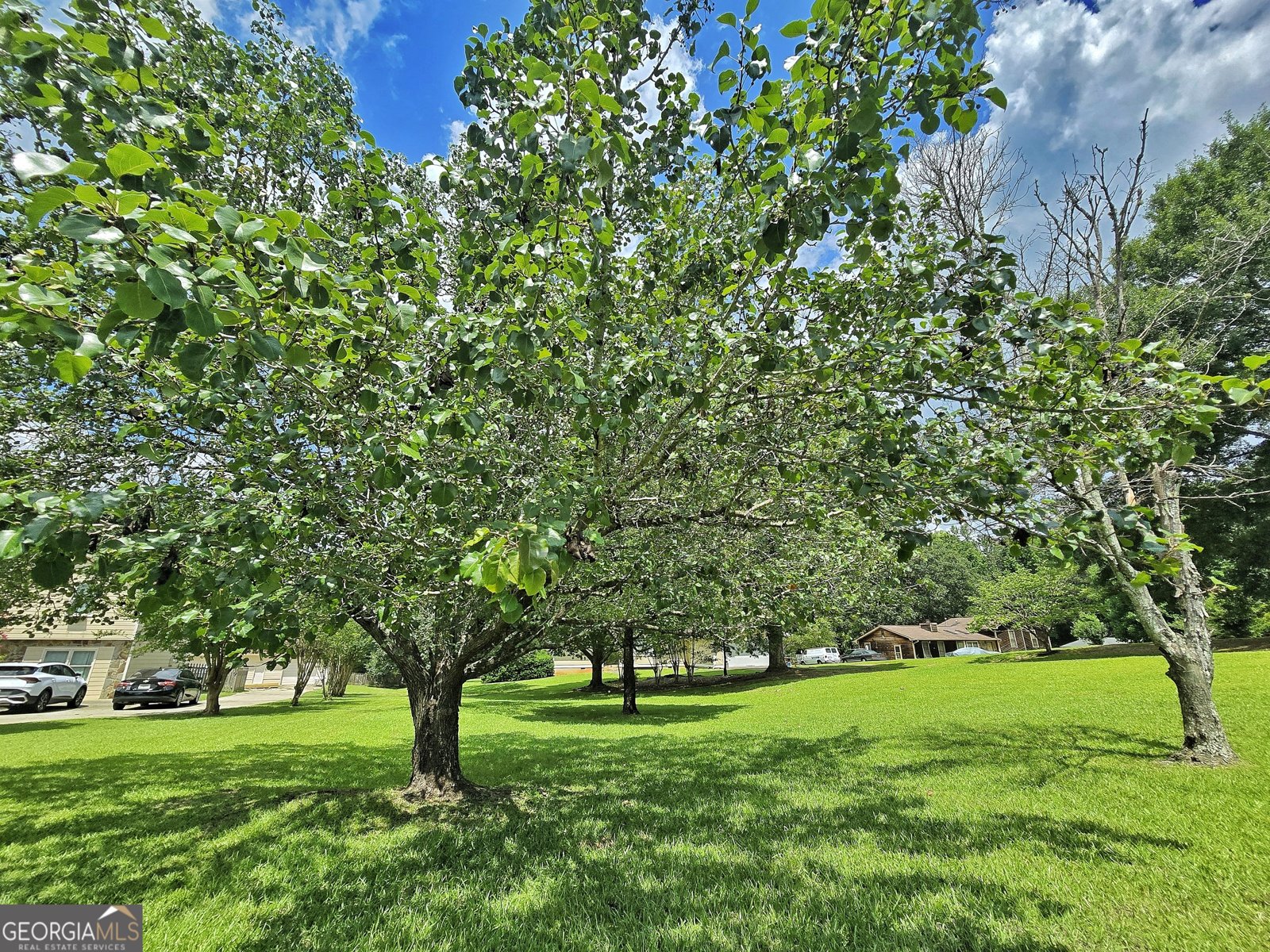 120 ASPEN LAKE Drive Newnan - Photo 14