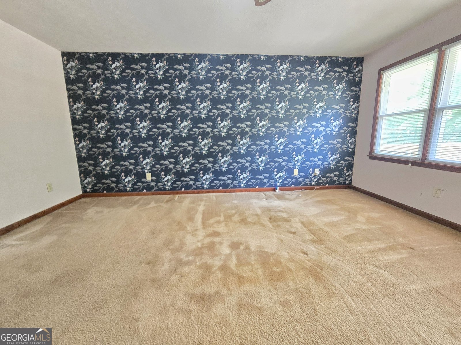 120 ASPEN LAKE Drive Newnan - Photo 71