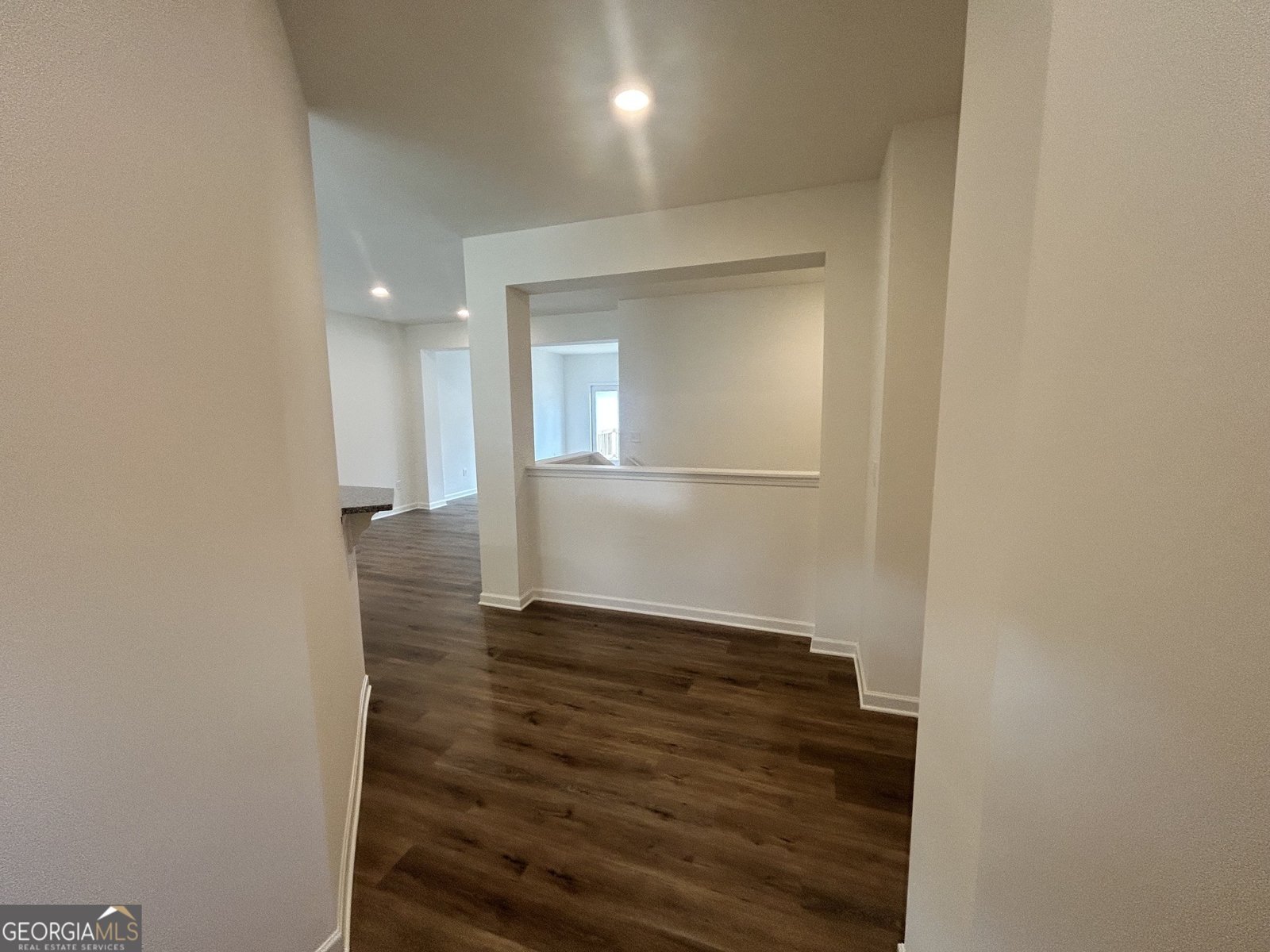 1582 Salem Drive Conyers - Photo 6
