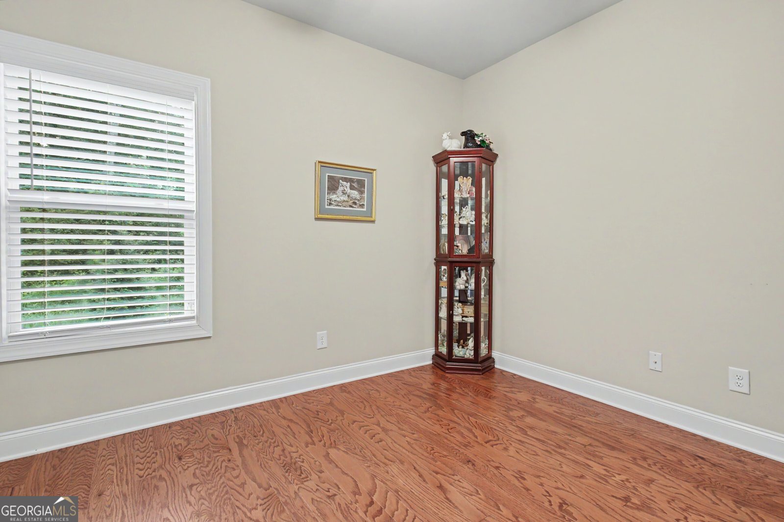 134 Old Bailey Farms Drive Senoia - Photo 55
